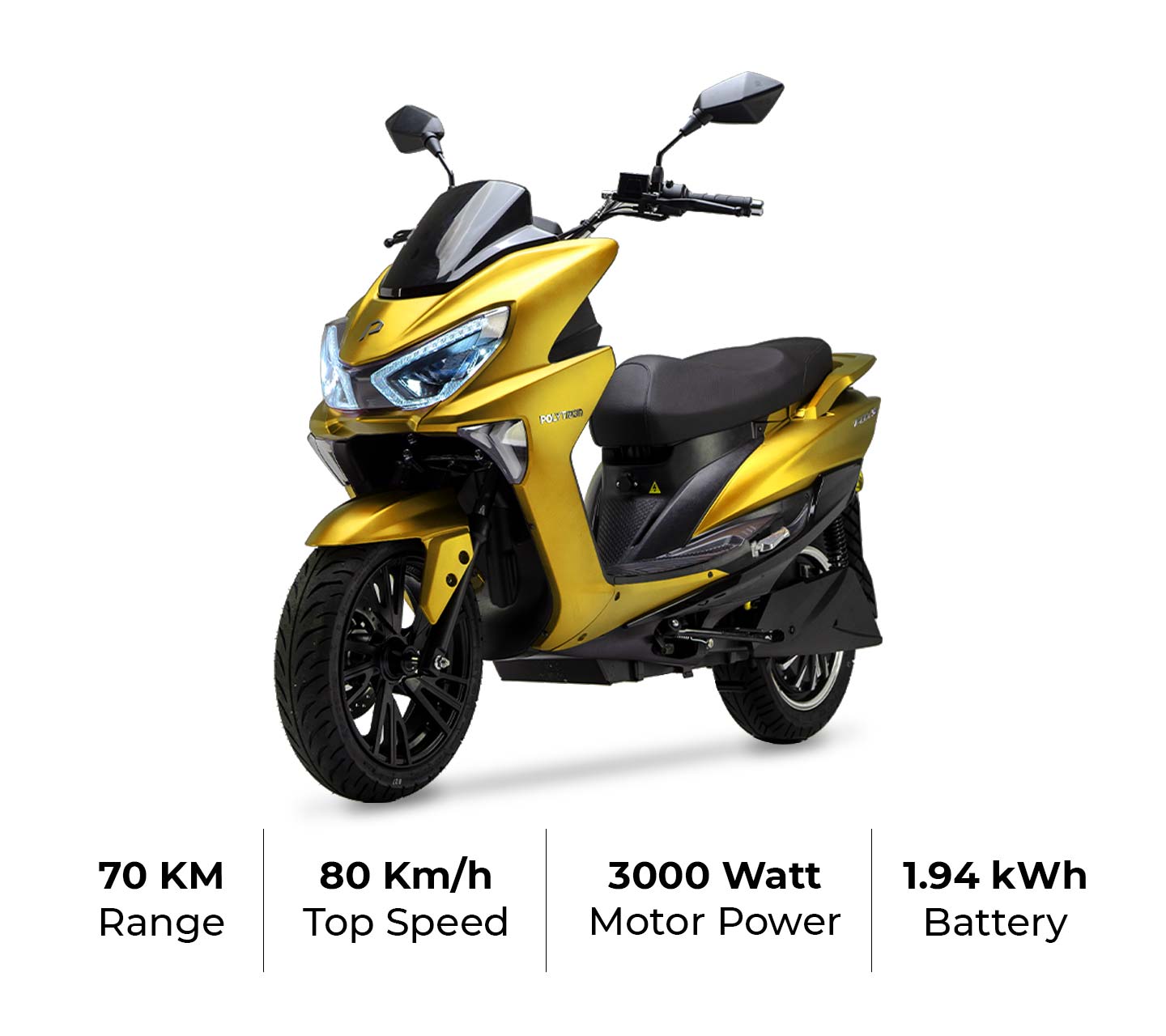 FOX-S-yellow FOX-S-yellow